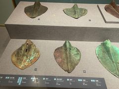 -昆明市博物馆(昆明市文物保护和考古研究中心)