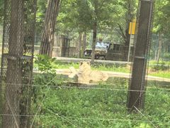 -秦皇岛野生动物园