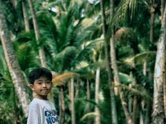 -东郊椰林