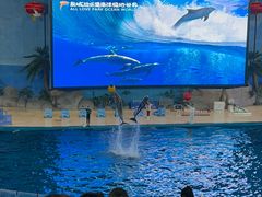 -泉城欧乐堡海洋极地世界