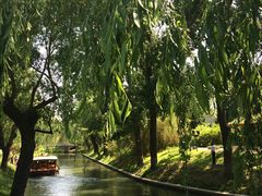 景点-紫竹院公园冰场