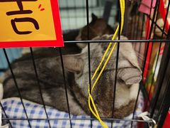 -谜盒子奇幻密室(南屏店)