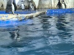 -太平洋海底世界