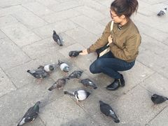 -圣马尔谷圣殿宗主教座堂