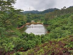 -大屏嶂森林公园