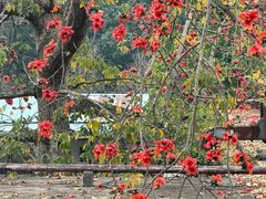 -中山大学附属第三医院(天河院区)