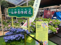 -瑞虹新天地月亮湾