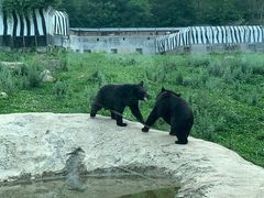 -西安秦岭野生动物园