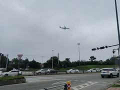 -空港花田景区