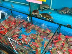 -崖口红树林海鲜餐厅