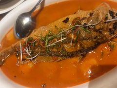 -索菲特酒店·乐轩华中餐厅