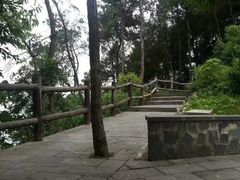 -铁山坪森林公园