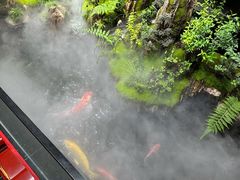 -唐河王记·南阳民间菜(国基路店)