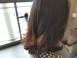 -Z.F私人订制