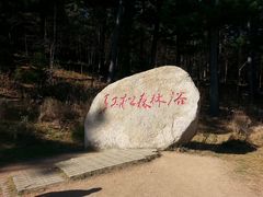 景点-五营红松林海景区