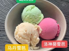 -莓园冰淇淋店