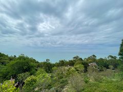 -广东惠东海龟国家级自然保护区