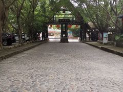 -天门沟九州驿站树上汤泉