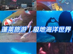-蓬莱欧乐堡海洋极地世界