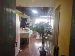 -蜜肆动物奶油蛋糕·个性定制·下午茶甜品