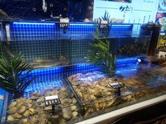 水产区-必点海鲜·鲅鱼水饺(鞍山西道店)