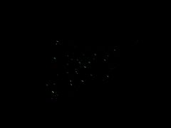 -怀托摩萤火虫洞