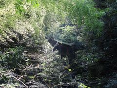 -藏龙百瀑风景区