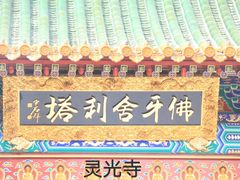 -八大处公园