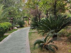 -咸宁万豪温泉谷度假区