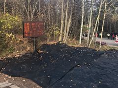 -五营红松林海景区