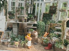 -深圳仙湖植物园