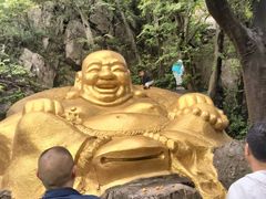 -紫金山山顶公园