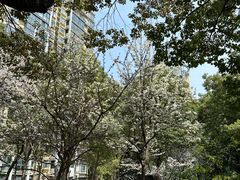 -快网网球俱乐部(徐汇爱建园店)