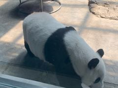 -石家庄市动物园