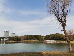 -新洲生态园
