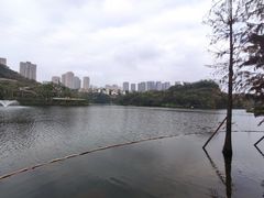 -重庆彩云湖湿地公园