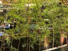 -金狮麟·新豫菜(金码大厦店)