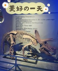 -恐龙探索乐园(磁器口店)