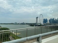 -詹爷爷乌节路街头冰淇淋