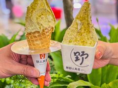 -野人先生Gelato(上海长宁龙之梦店)
