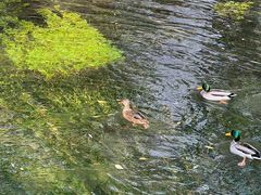 -水磨沟公园