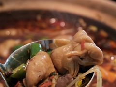 招牌肥肠锅-马头巷·食景园(苏州总店)