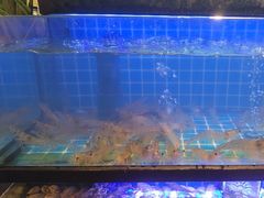 -透明思烤·自助烤肉海鲜火锅(东部星悦天地店)