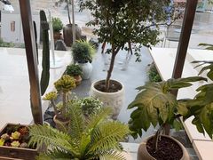 -喜茶(珠海华发商都店)