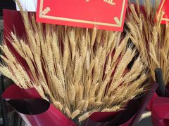 -张亮麻辣烫(上海国顺东路店)