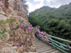-十渡东湖港风景区