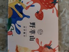 -野萃山·潮汕厚果汁(十亩地店)