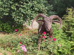 -北京西山国家森林公园