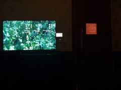 -金指缘足浴(望园路旗舰店)