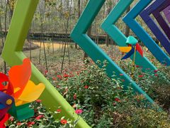 -合肥滨湖国家森林公园